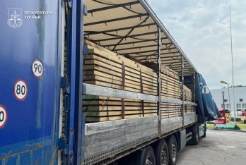 Підприємець зі Зимноводівської громади хотів вивезти до Польщі контрабандний дуб – 04