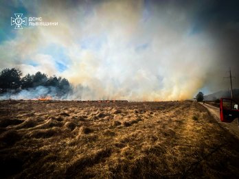 На Львівщині за добу згоріло понад 50 га сухостою