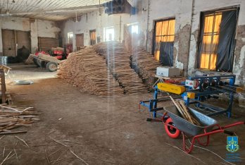 Підприємиця зі Львівщини нелегально продавала деревину польській фірмі – 04