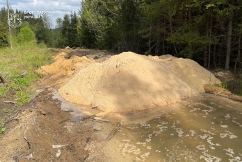 Підприємця зі Славського підозрюють у незаконній вирубці лісу на 1,2 млн грн – 05