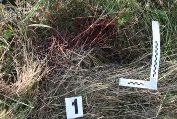 Прокурори відстояли вирок вбивці 25-річної мешканки Львівщини в Польщі – 01