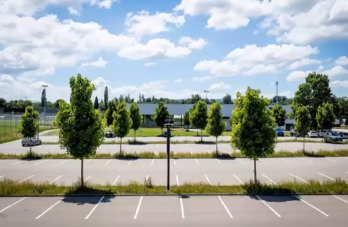 У Львові висадять дерева на усіх відкритих паркувальних майданчиках – 01