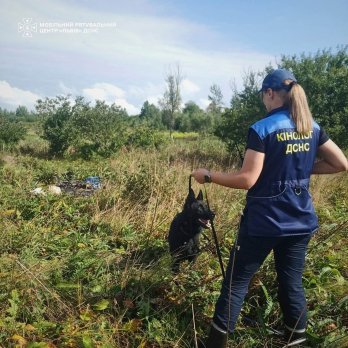 Службовий пес знайшов тіло 73-річного чоловіка на Львівщині – 01