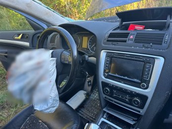 В аварії з лосем біля Великих Мостів загинув 57-річний пасажир Škoda – 02