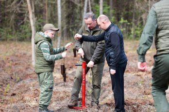 Інвестиції в майбутнє: Львівщина взяла участь в масштабній благодійній акції висадки дерев – 16