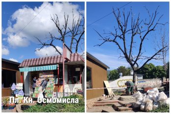 У Львові демонтували ще п’ять МАФів у різних районах міста – 05