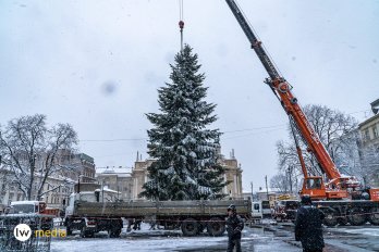 Головна новорічна ялинка Львова вже у місті: фоторепортаж – 01
