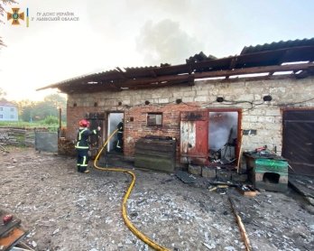 У селі на Червоноградщині горіла господарська будівля, загинули 27 курей – 02