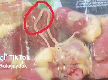 У львівському супермаркеті помітили черв’яка-паразита в курячих сердечках (відео) – 01