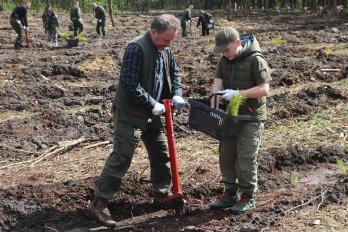 На Львівщині висадили близько 180 тис. дерев – 01
