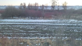 Золочівська міськрада продала на аукціоні землю під будівництво нової АЗС – 04
