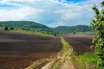 На Золочівщині розкопали камінь зі старослов’янськими написами про жителів хутора початку XX ст.