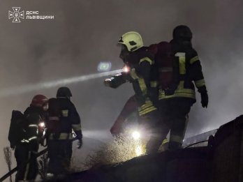 Фото: ДСНС