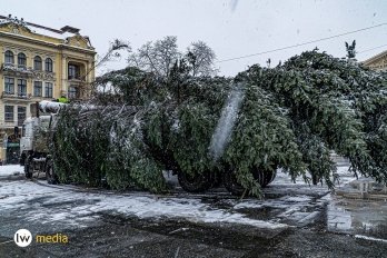 Головна новорічна ялинка Львова вже у місті: фоторепортаж – 04