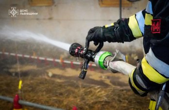 Пожежники врятували понад 23 тис. курчат під час пожежі на Золочівщині – 01