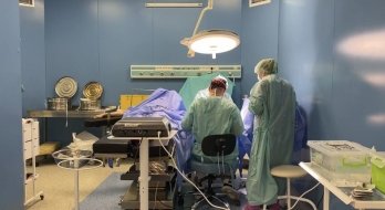 Усе життя ховала руки від чужих очей: львівські лікарі прооперували жінку із рідкісною патологією – 01