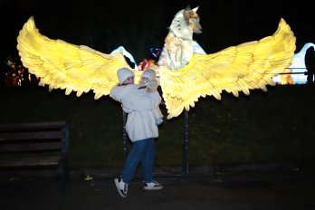 Магічні феї, ельфи та дракони: у Львові відкрили Парк ліхтарів – 01