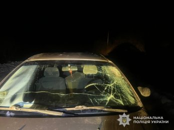 У селі на Львівщині п’яний водій Chevrolet збив двох пішоходів – 01