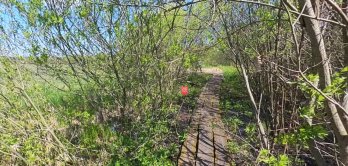 На Львівщині створили 3D-тур унікальним водно-болотним угіддям заповідника “Розточчя” – 02