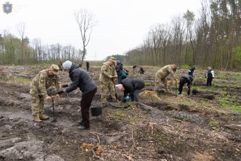 Висадка лісу в пам'ять про Андрія Позняка