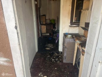 На Закарпатті через пожежу в будинку загинули 19 котів – 04
