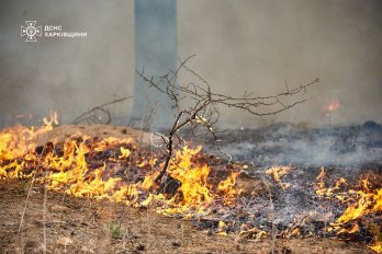 Через ворожі обстріли на Харківщині палають ліси: горить понад 3300 гектарів – 02