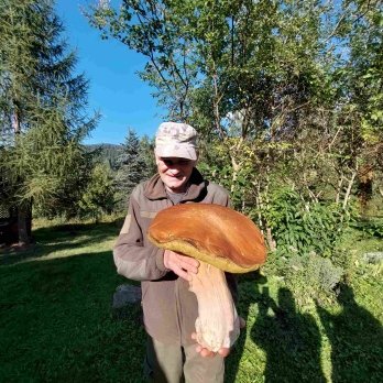 У Карпатах знайшли гриб-гігант вагою 3 кілограми (фото) – 01