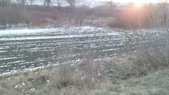 Золочівська міськрада продала на аукціоні землю під будівництво нової АЗС – 02
