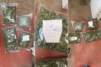 Сімейний наркобізнес: на Львівщині викрили плантацію конопель – 04