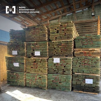 На Львівщині ліквідували канал контрабанди деревини дуба на 1 млн грн