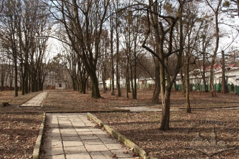 Львівська міськрада не змогла оскаржити рішення суду щодо охорони старого єврейського кладовища – 02