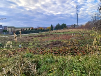 Вдвічі дорожче: у Винниках продали за 5,9 млн грн землю під промисловість – 04