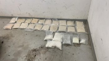 Волосся і мурахи: львівські митники показали, що намагалися провезти через кордон у 2025 році – 10