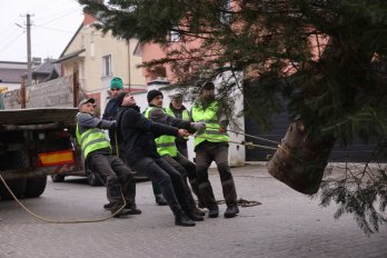 В центрі Львова встановили головну різдвяну ялинку – 03