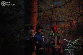 Масштабну пожежу в Карпатах допомагають гасити 36 львівських рятувальників – 03