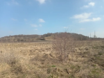 Земельна ділянка, яку продали на аукціоні