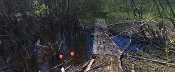 На Львівщині створили 3D-тур унікальним водно-болотним угіддям заповідника “Розточчя” – 03