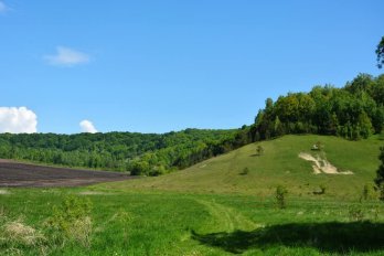 На Золочівщині розкопали камінь зі старослов’янськими написами про жителів хутора початку XX ст.