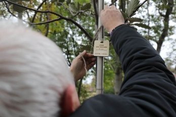 У Львові висадили 96 дерев на честь загиблих захисників України – 02