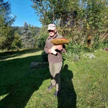 У Карпатах знайшли гриб-гігант вагою 3 кілограми (фото) – 03