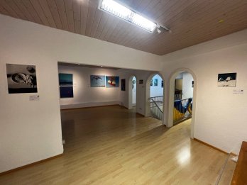 У німецькому Фрайбурзі відкрилася виставка сучасного українського мистецтва – 11