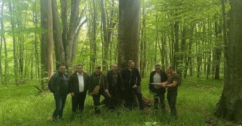 У парку на Львівщині хочуть оселити європейських зубрів – 02