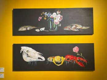 У ZAG Gallery відкрили першу у Львові виставку Анастасії Подерв’янської – 04