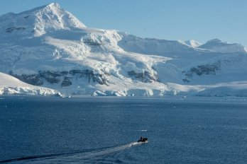 Українські вчені в Антарктиді вперше записали звуки рідкісних китів