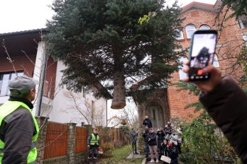 В центрі Львова встановили головну різдвяну ялинку – 01