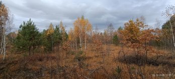 На Львівщині планують створити ботанічний заказник «Кави» площею понад 200 га – 07