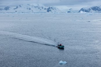 Українські вчені в Антарктиді вперше записали звуки рідкісних китів – 01