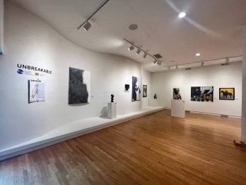 В США відкрили виставку сучасного українського мистецтва «UNBREAKABLE» – 03