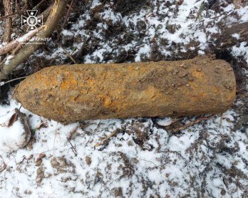 Копали лісову дорогу й знайшли артилерійський снаряд: на Львівщині виявили боєприпаси часів Другої світової – 02