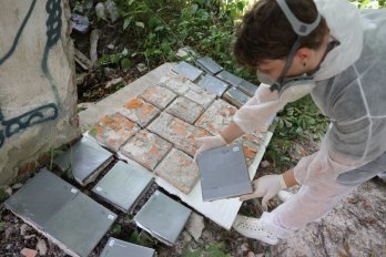 Унікальне 50-річне панно перенесуть з Погулянки на нове місце у Львові